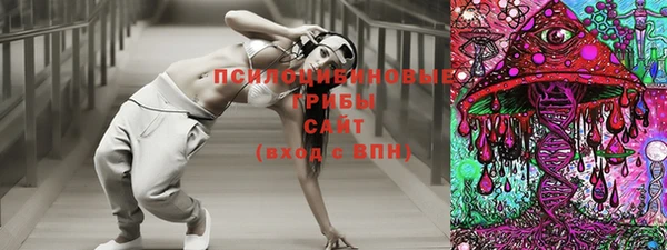 стафф Алексеевка