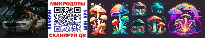 Галлюциногенные грибы Psilocybe  ОМГ ОМГ как зайти  Арзамас 